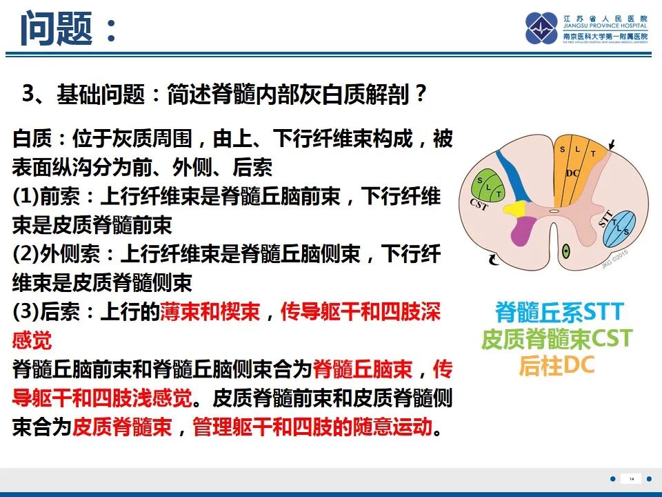 影像PPT - 【PPT】脊髓内脓肿-15