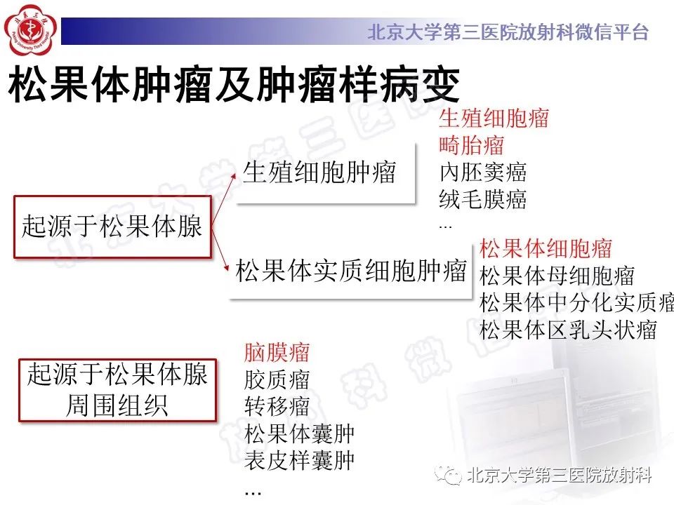 影像PPT - 【PPT】颅内生殖细胞瘤-21