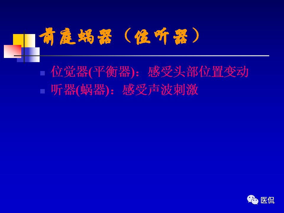 影像PPT - 【PPT】耳部影像诊断-3