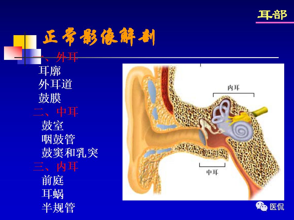 影像PPT - 【PPT】耳部影像诊断-4
