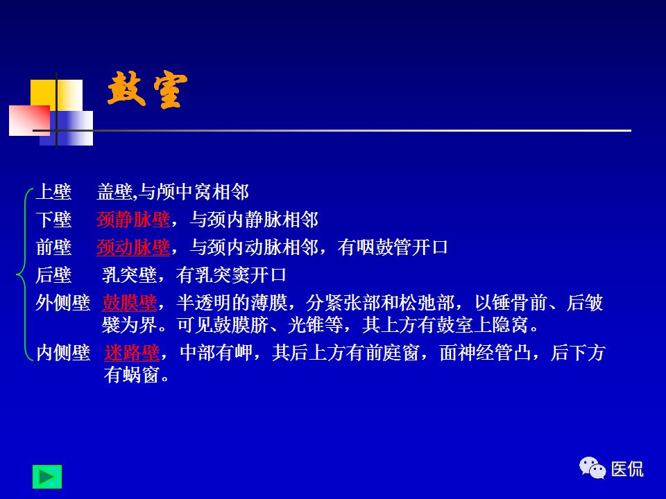 影像PPT - 【PPT】耳部影像诊断-8