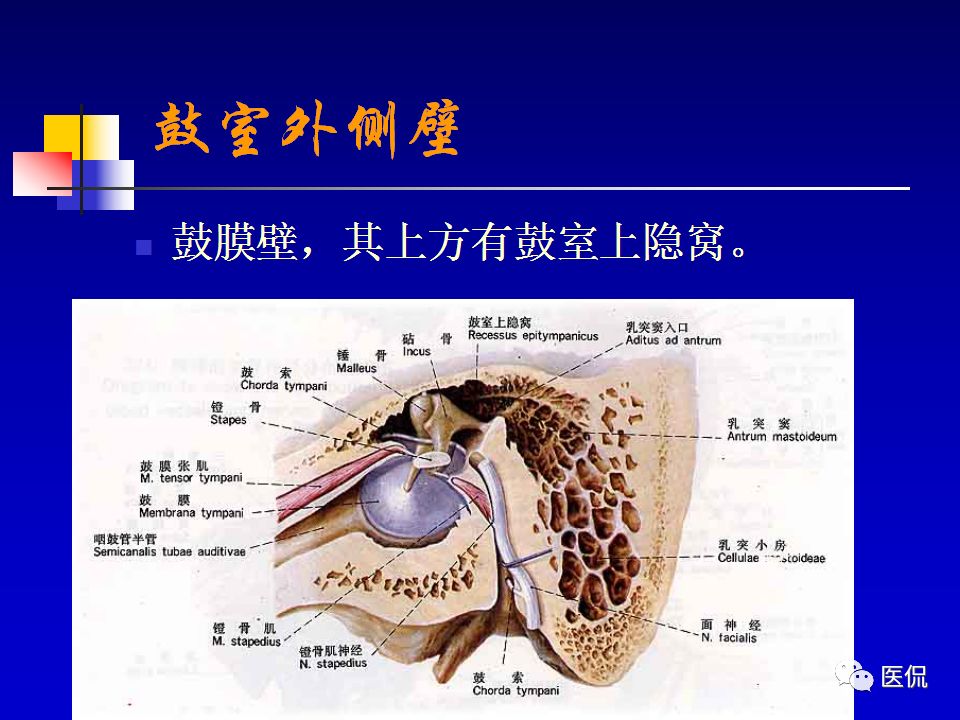 影像PPT - 【PPT】耳部影像诊断-13