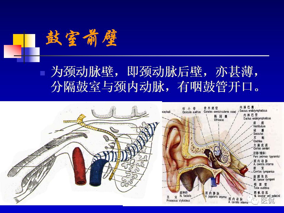 影像PPT - 【PPT】耳部影像诊断-11