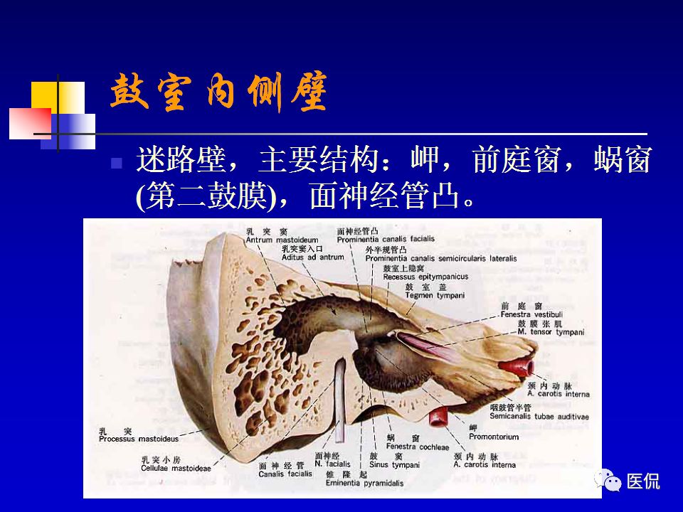 影像PPT - 【PPT】耳部影像诊断-15