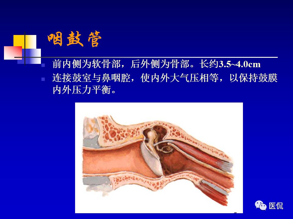 影像PPT - 【PPT】耳部影像诊断-16