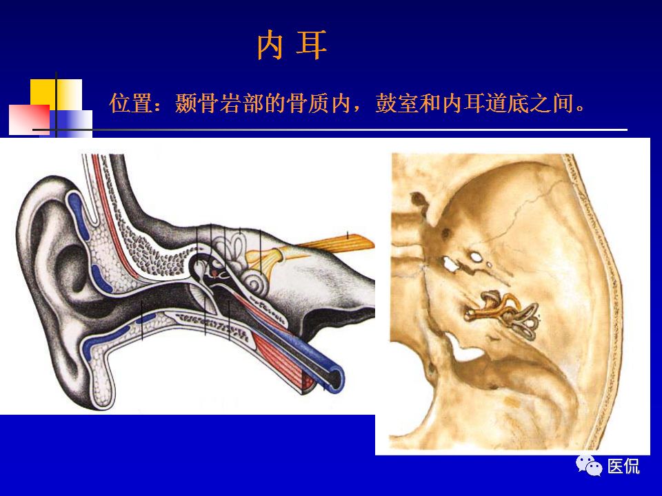 影像PPT - 【PPT】耳部影像诊断-19