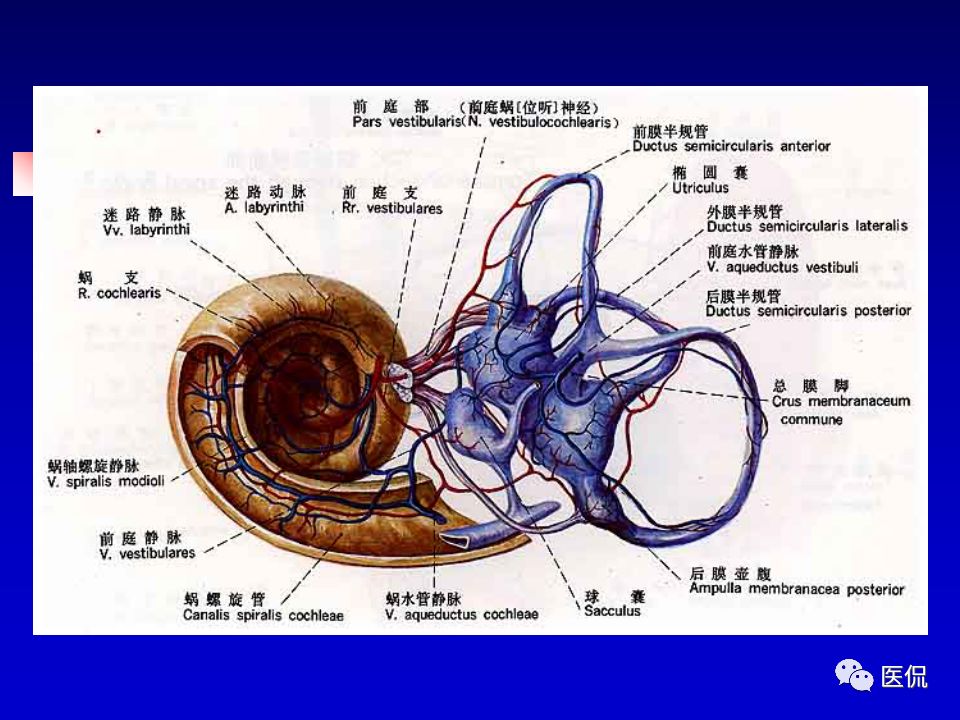 影像PPT - 【PPT】耳部影像诊断-26