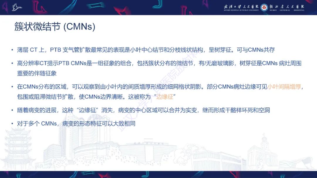 影像PPT - 【PPT】活动性肺结核不典型CT表现-10