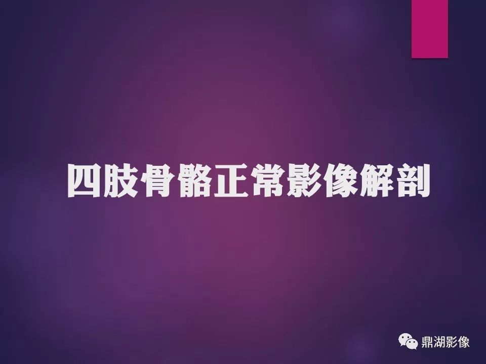 影像PPT - 【PPT】骨骼肌肉系统医学影像解剖-2