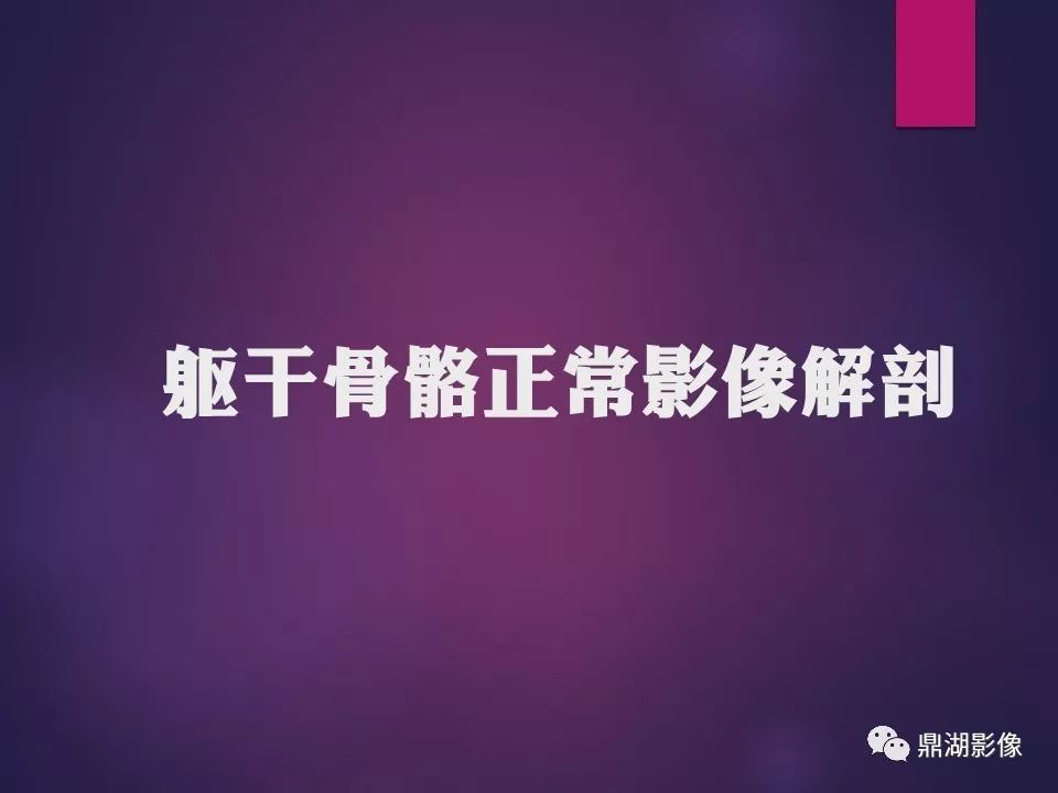 影像PPT - 【PPT】骨骼肌肉系统医学影像解剖-36