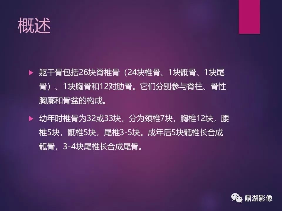 影像PPT - 【PPT】骨骼肌肉系统医学影像解剖-37