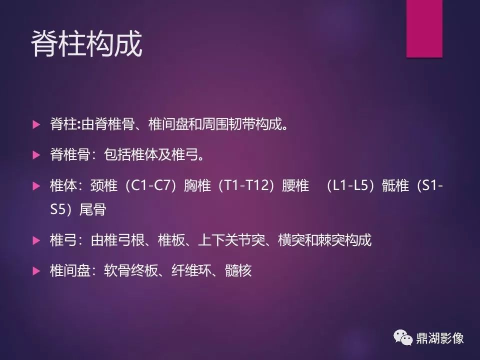 影像PPT - 【PPT】骨骼肌肉系统医学影像解剖-39