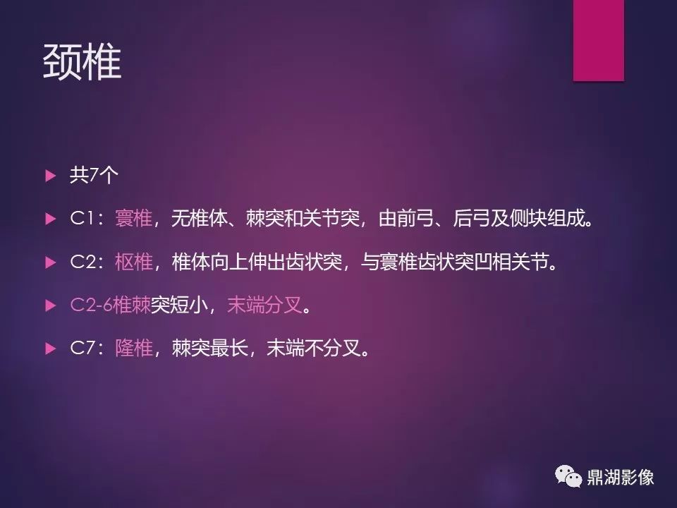 影像PPT - 【PPT】骨骼肌肉系统医学影像解剖-42
