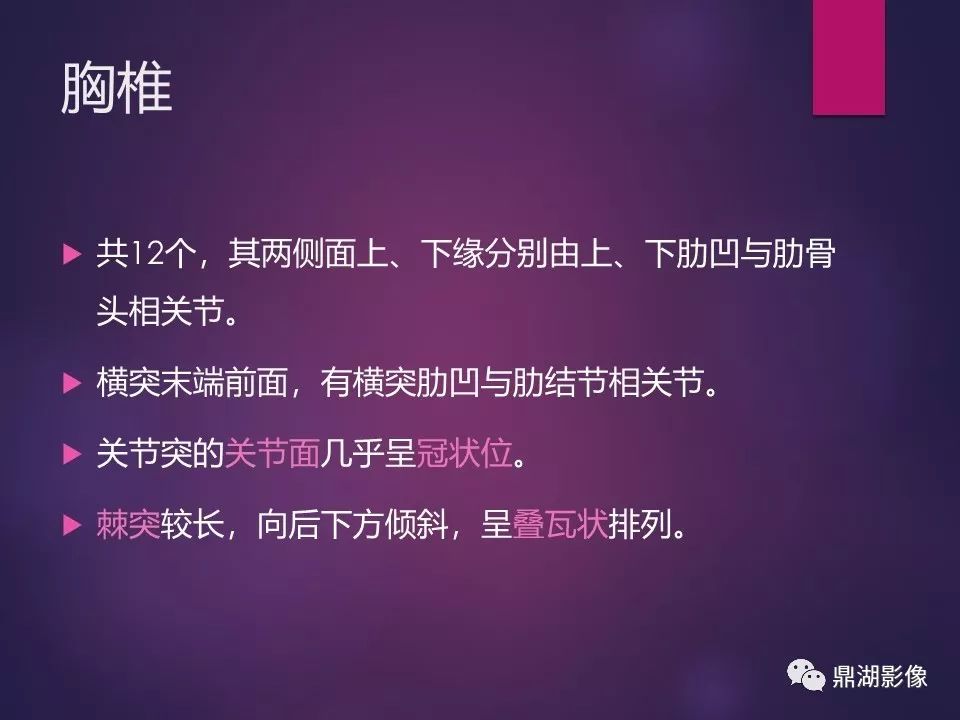 影像PPT - 【PPT】骨骼肌肉系统医学影像解剖-49