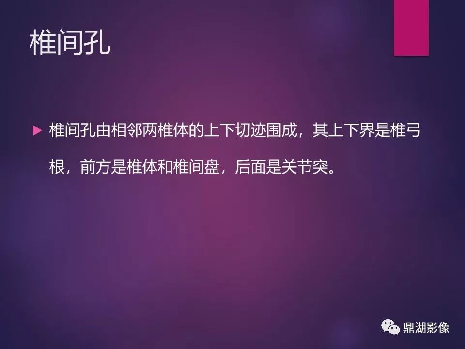 影像PPT - 【PPT】骨骼肌肉系统医学影像解剖-52