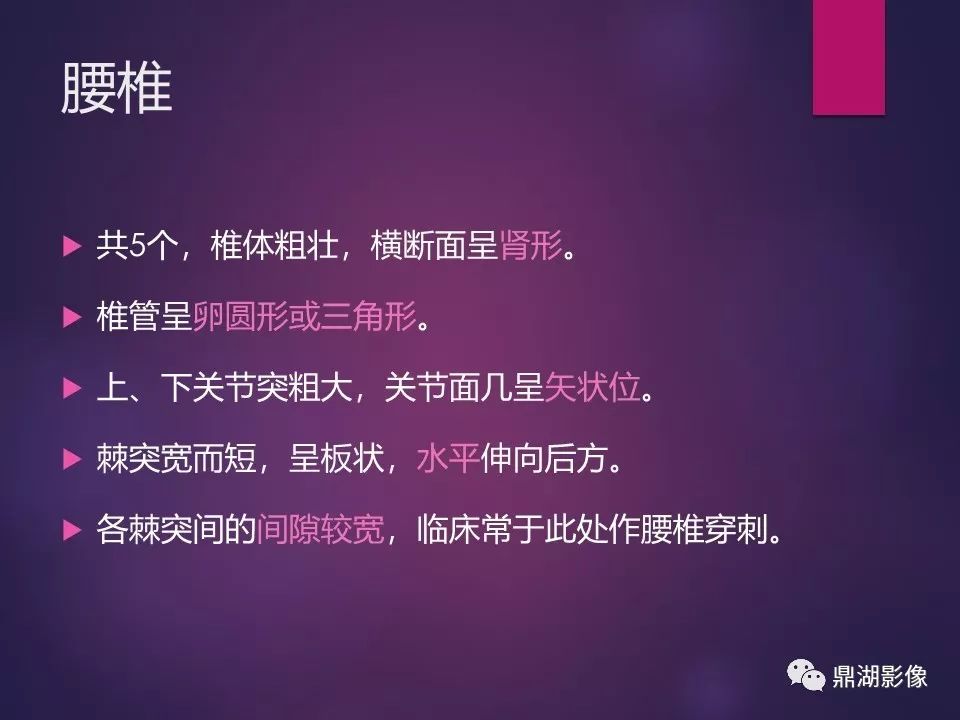影像PPT - 【PPT】骨骼肌肉系统医学影像解剖-55