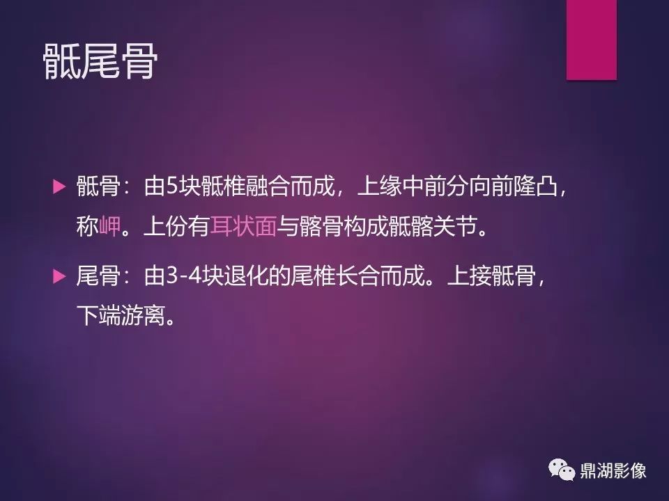 影像PPT - 【PPT】骨骼肌肉系统医学影像解剖-60