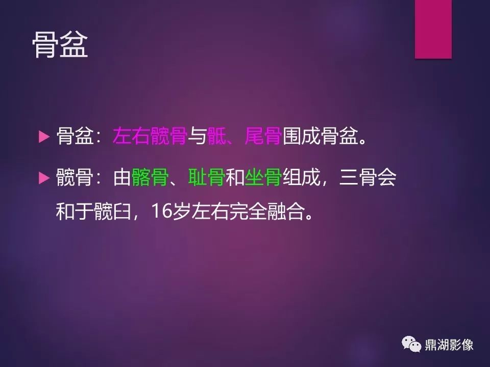 影像PPT - 【PPT】骨骼肌肉系统医学影像解剖-62