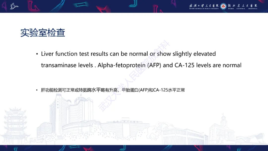 影像PPT - 【PPT】肝脏未分化胚胎性肉瘤-11