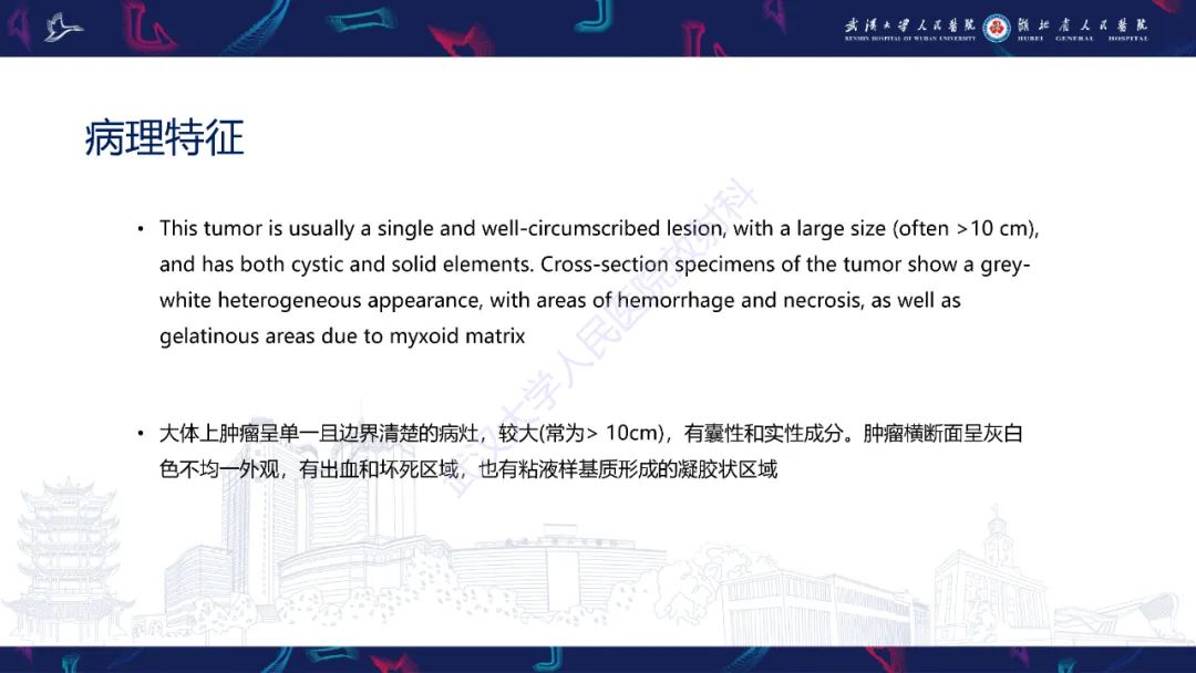 影像PPT - 【PPT】肝脏未分化胚胎性肉瘤-12