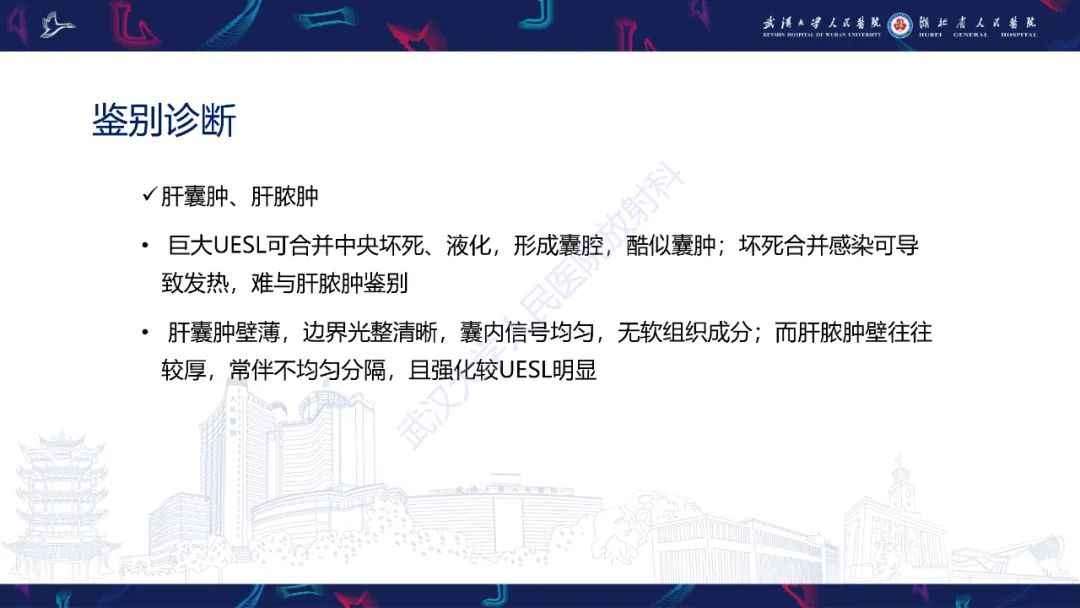 影像PPT - 【PPT】肝脏未分化胚胎性肉瘤-23