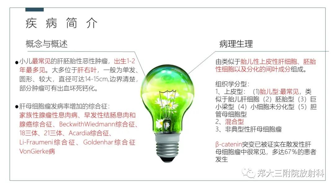 影像PPT - 【病例】肝母细胞瘤1例CT影像-11
