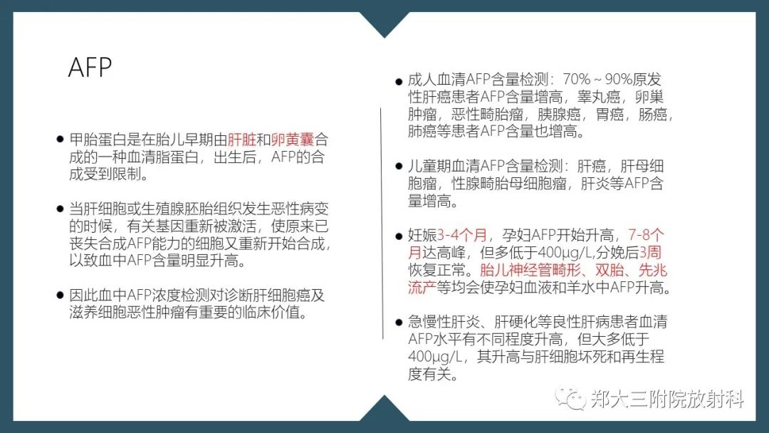 影像PPT - 【病例】肝母细胞瘤1例CT影像-13