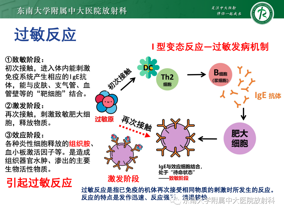 影像PPT - 【PPT】CT及MR对比剂种类、临床应用及常见副反应-46