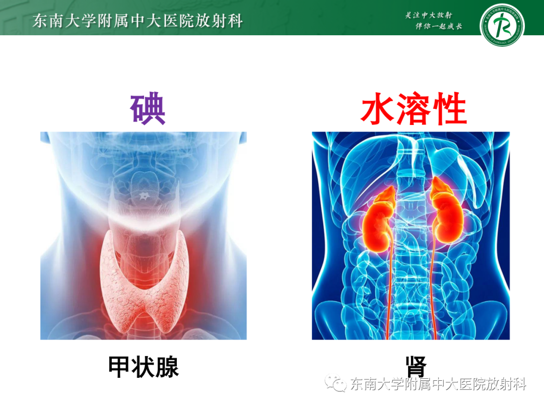 影像PPT - 【PPT】CT及MR对比剂种类、临床应用及常见副反应-64