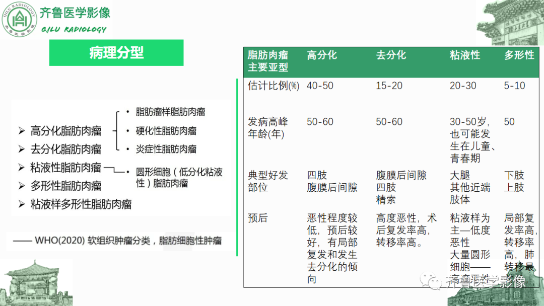 影像PPT - 【PPT】腹膜及腹膜后病变-12