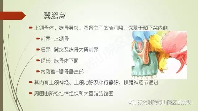 影像PPT - 【PPT】翼腭窝相通孔道-2
