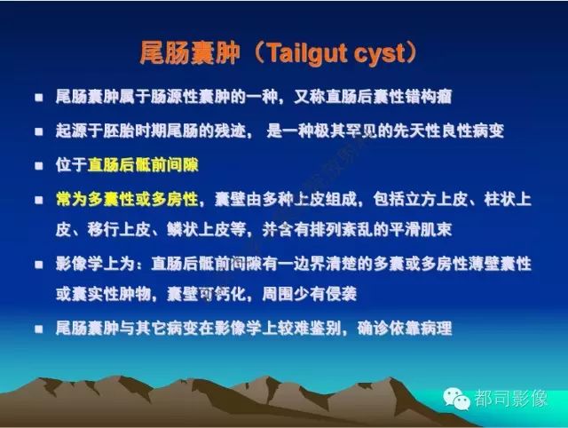 影像PPT - 【PPT】胃肠道囊性病变的影像学诊断-12