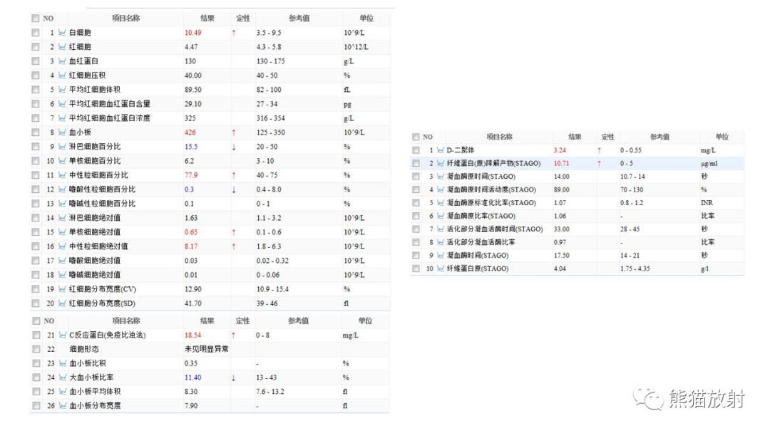 影像PPT - 【病例】肺炎克雷伯杆菌感染2例CT影像-3