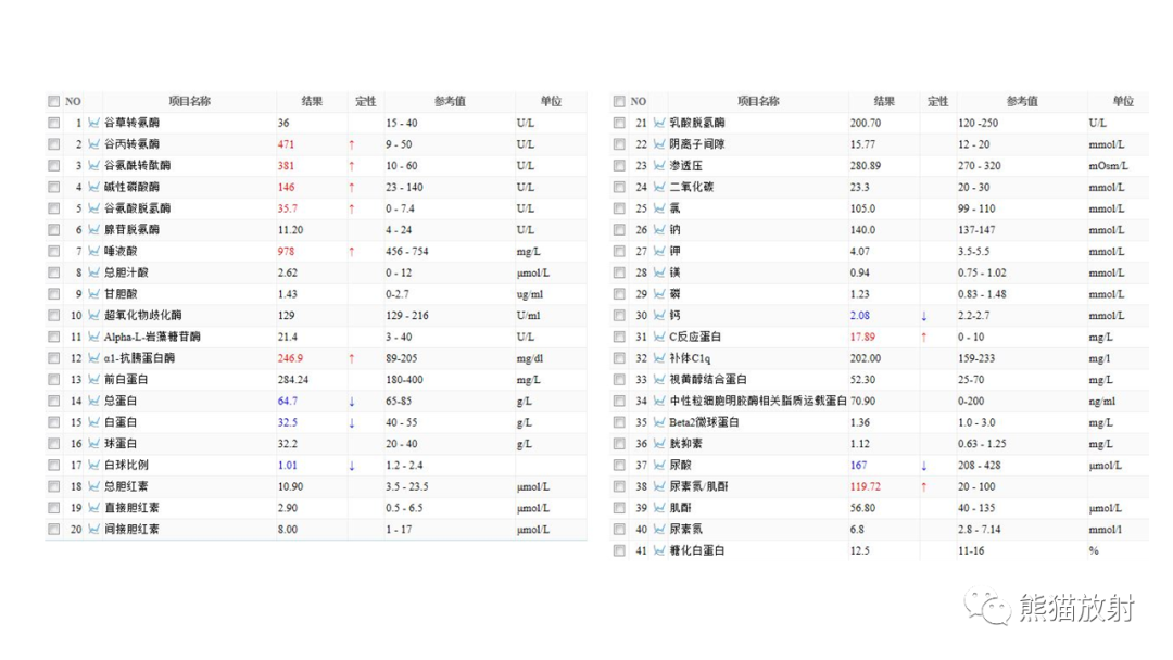影像PPT - 【病例】肺炎克雷伯杆菌感染2例CT影像-4
