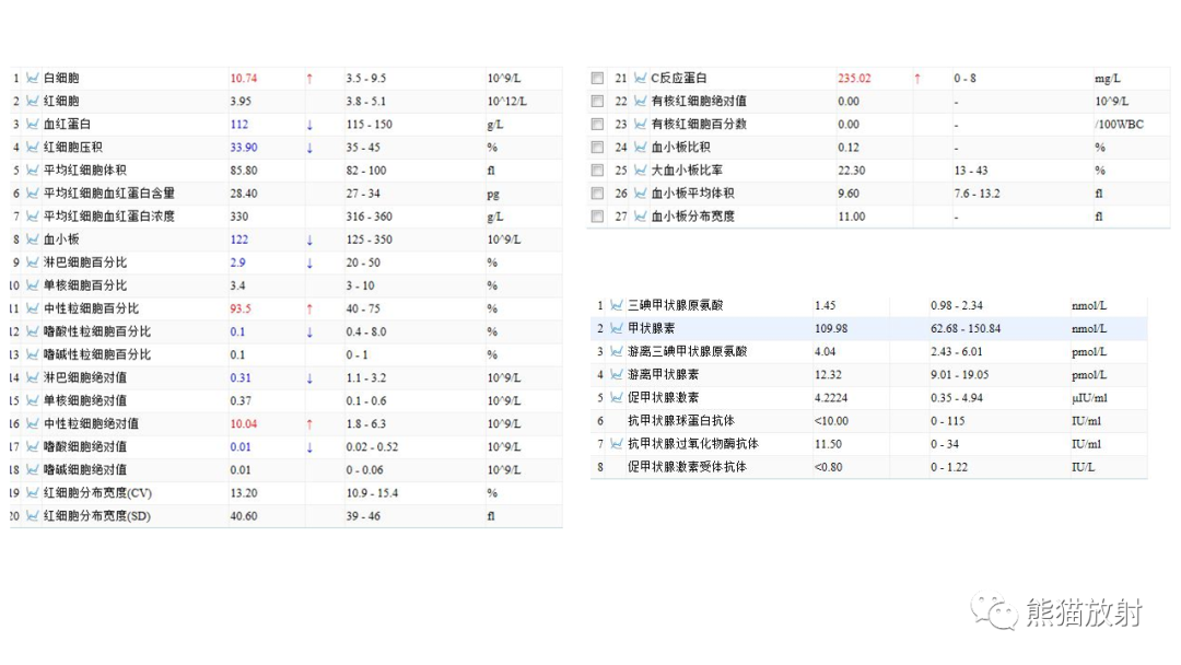 影像PPT - 【病例】肺炎克雷伯杆菌感染2例CT影像-14