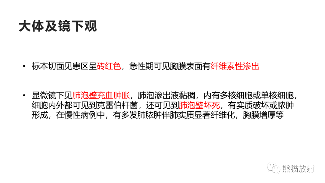 影像PPT - 【病例】肺炎克雷伯杆菌感染2例CT影像-26
