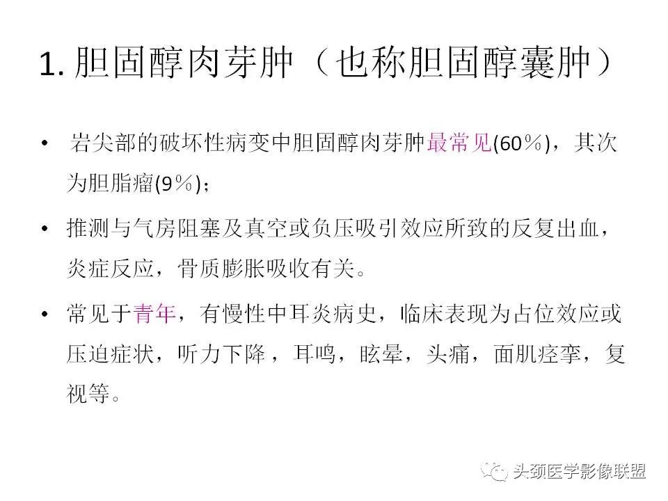 影像PPT - 【PPT】岩尖解剖及常见病变的影像学表现-12