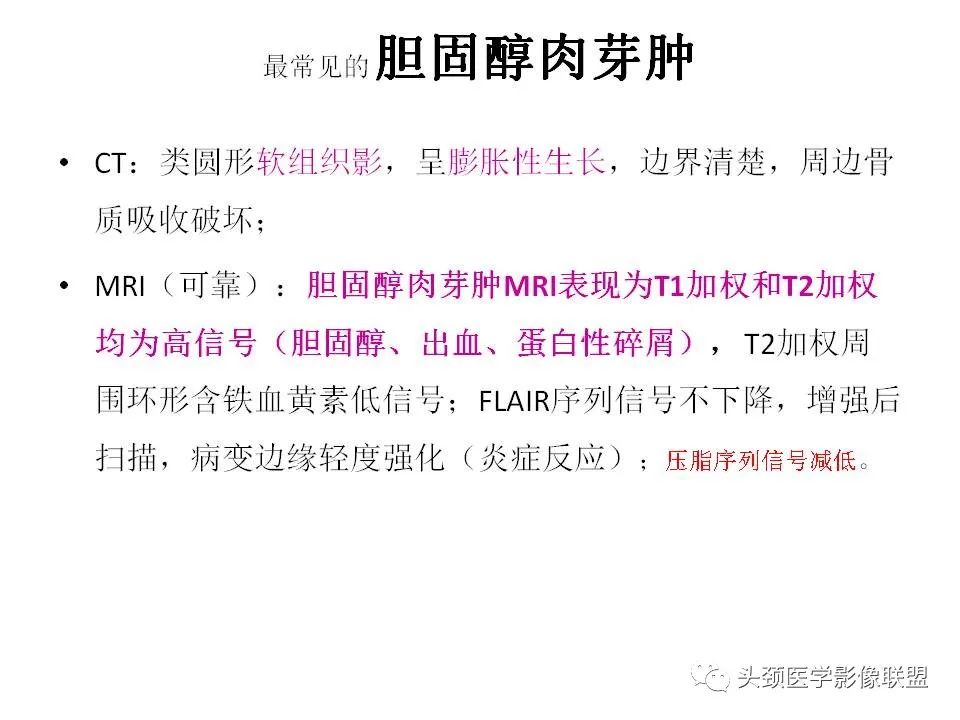 影像PPT - 【PPT】岩尖解剖及常见病变的影像学表现-13