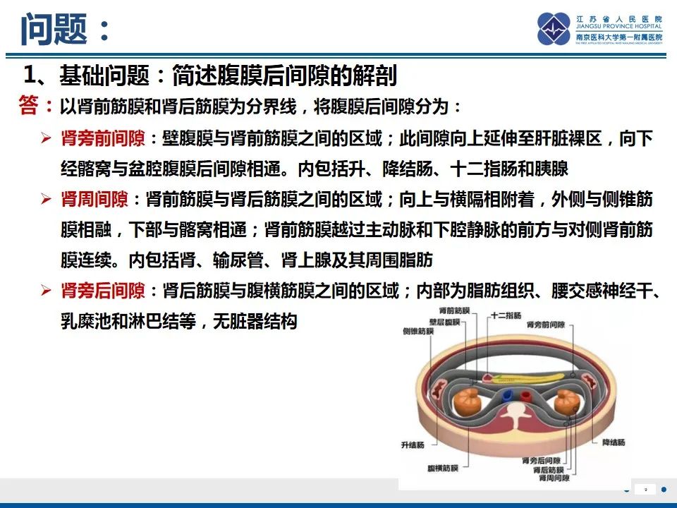 影像PPT - 【PPT】软斑病-10
