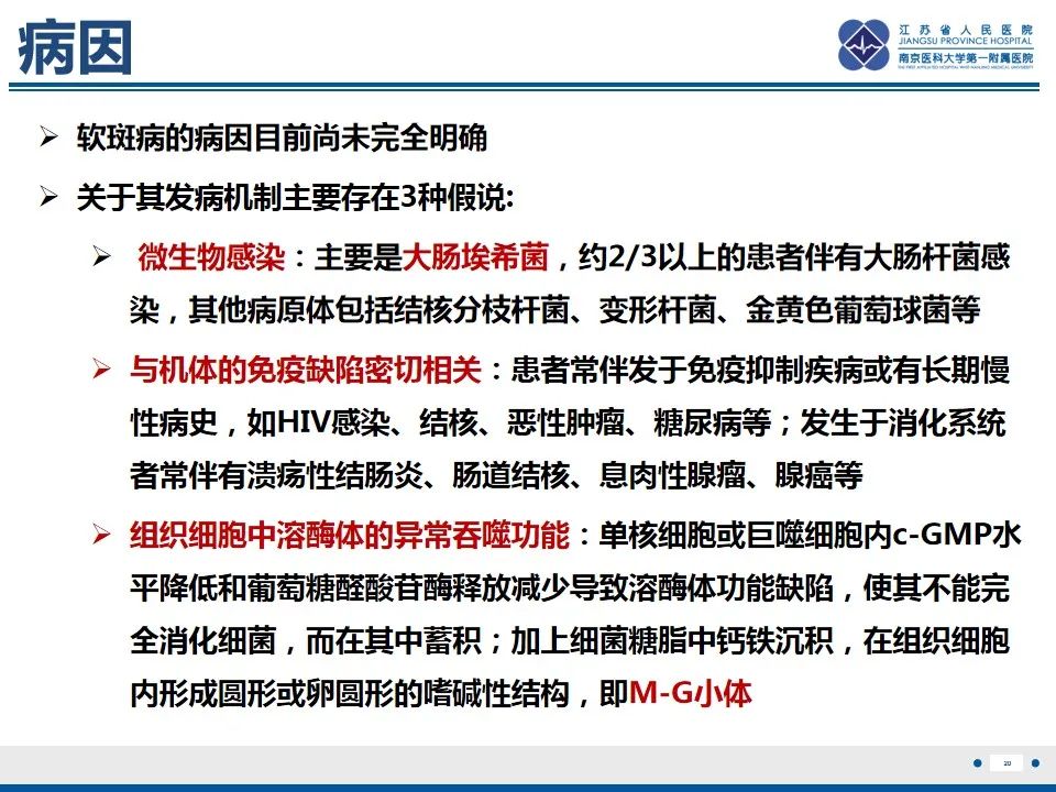 影像PPT - 【PPT】软斑病-21