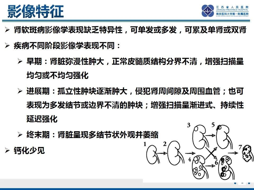 影像PPT - 【PPT】软斑病-24