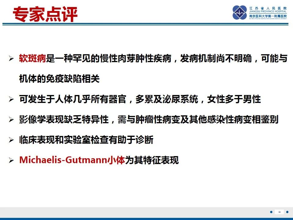 影像PPT - 【PPT】软斑病-41