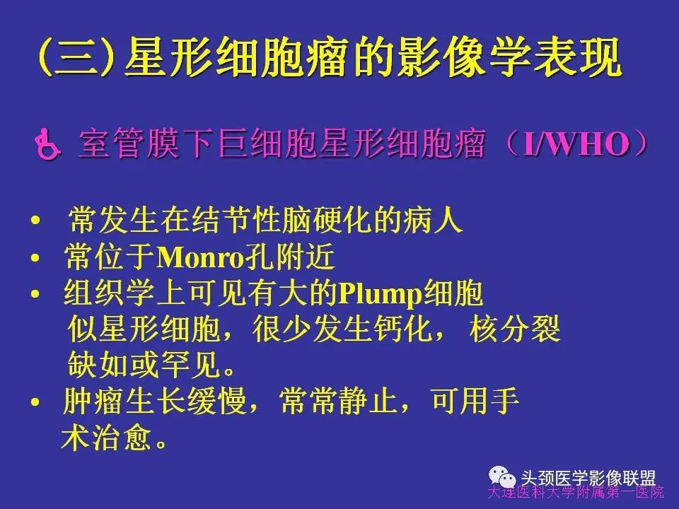 影像PPT - 【PPT】胶质瘤影像诊断及鉴别诊断-13