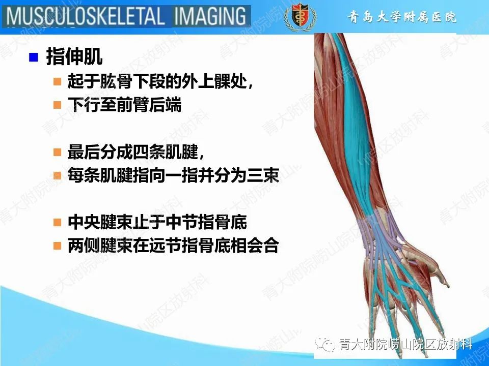 影像PPT - 【PPT】纽扣孔畸形-5