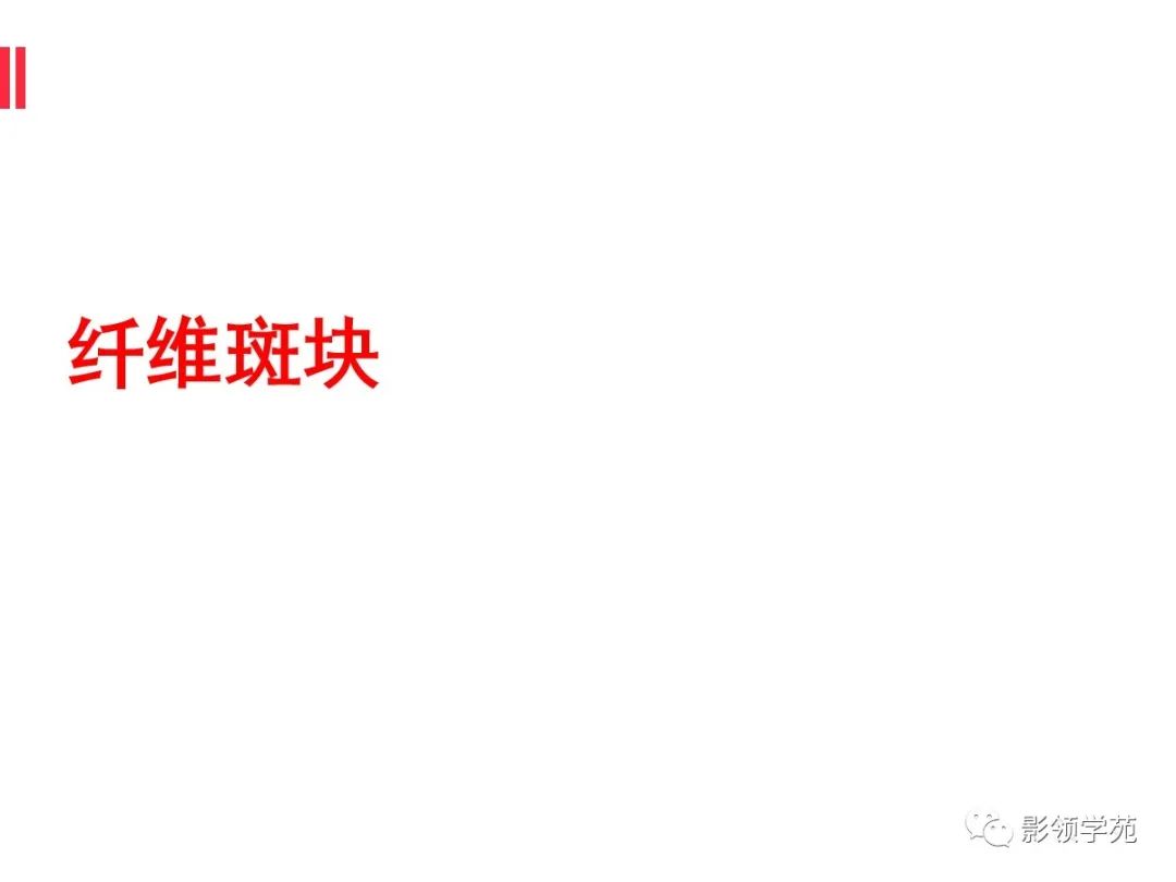 影像PPT - 【PPT】如何分析冠状动脉CTA-34