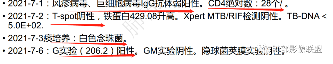 影像PPT - 【病例】马尔尼菲青霉菌病1例肺部CT影像-73 影像PPT - 【病例】马尔尼菲青霉菌病1例肺部CT影像-73