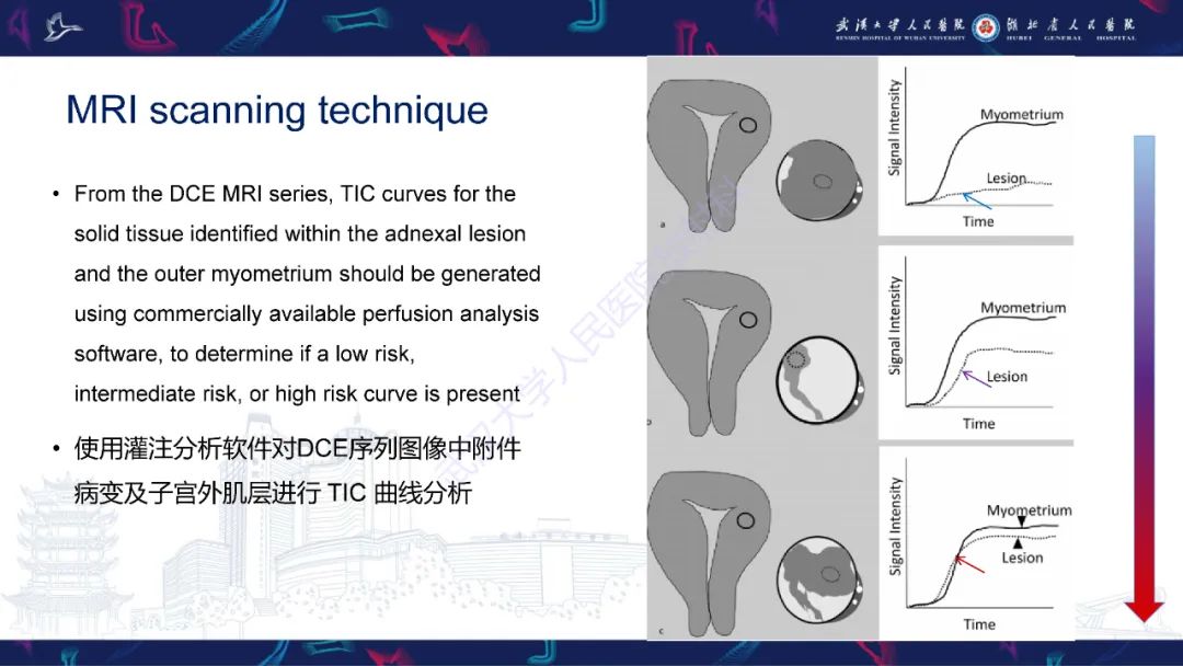 影像PPT - 【PPT】卵巢病变 O-RADS MRI评分解读-9