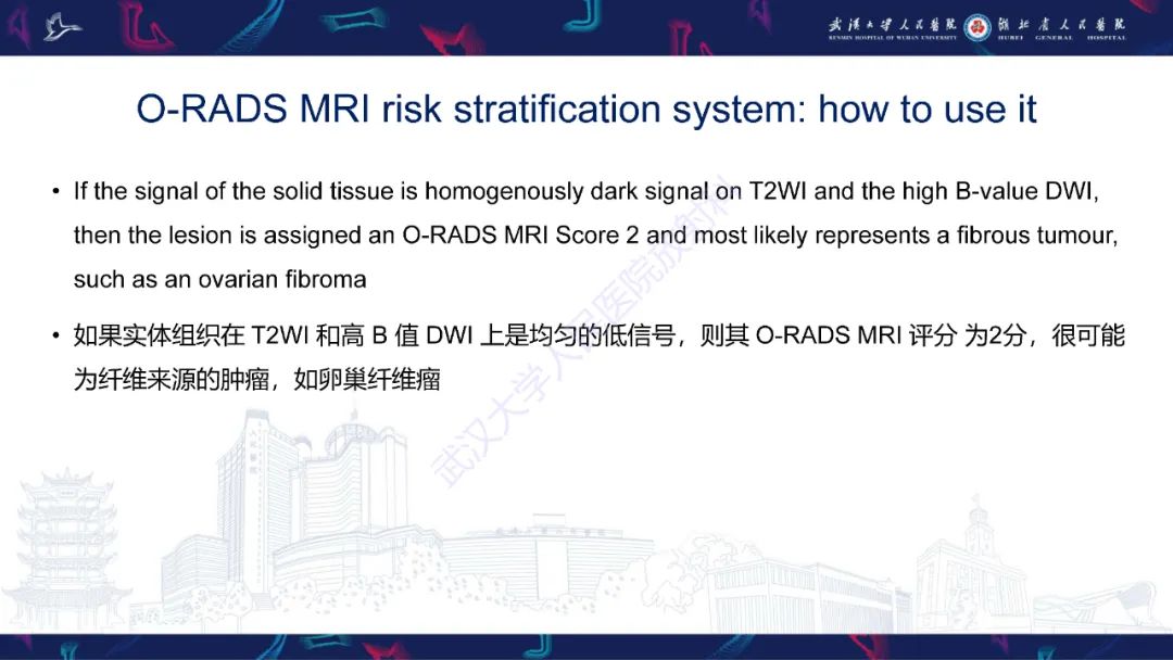 影像PPT - 【PPT】卵巢病变 O-RADS MRI评分解读-27