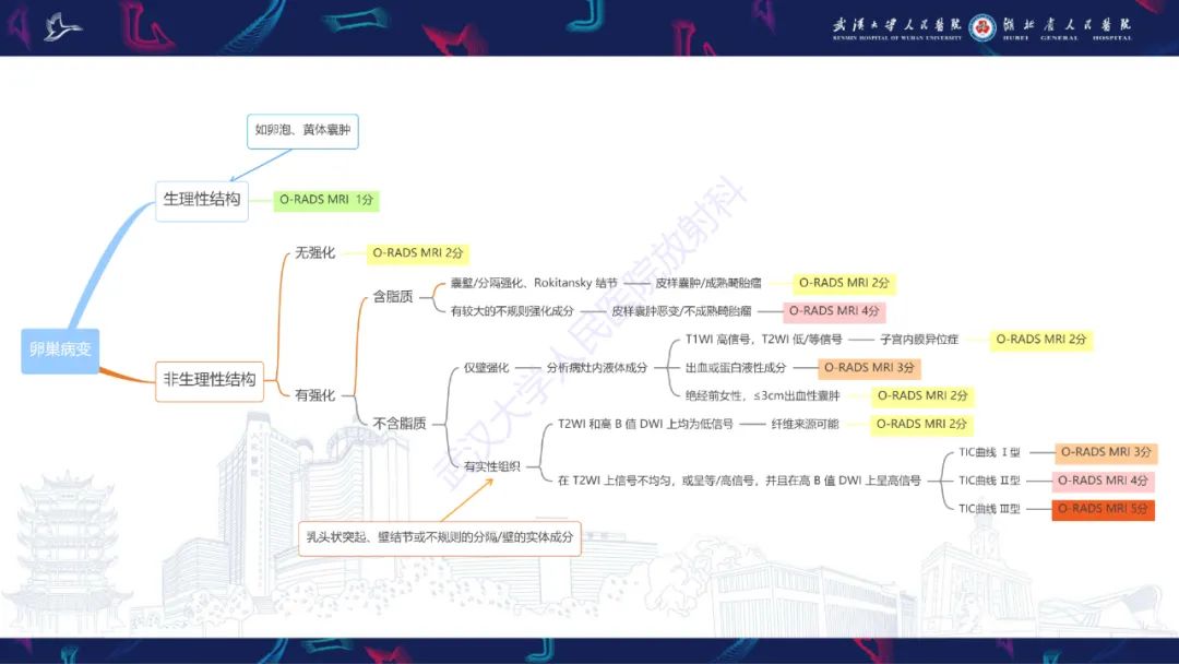 影像PPT - 【PPT】卵巢病变 O-RADS MRI评分解读-31