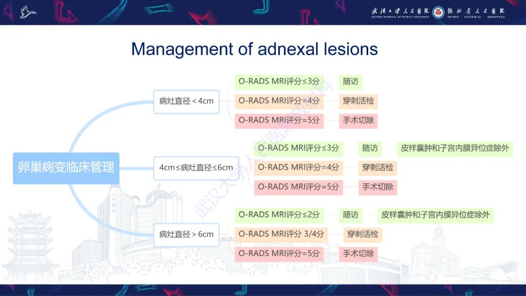 影像PPT - 【PPT】卵巢病变 O-RADS MRI评分解读-32